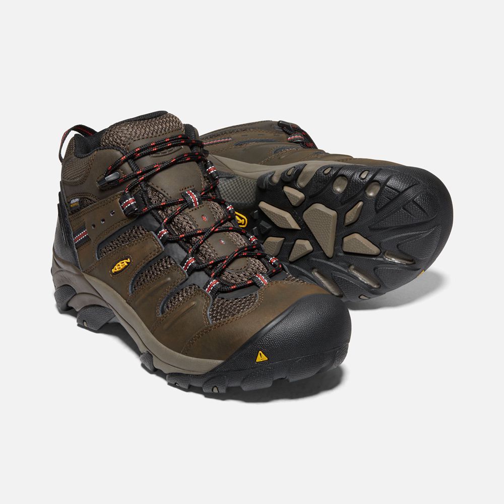 Botas de Trabajo Keen Mexico Marrom - Hombre Lansing Mid Waterproof (Steel Toe) - GH7046831